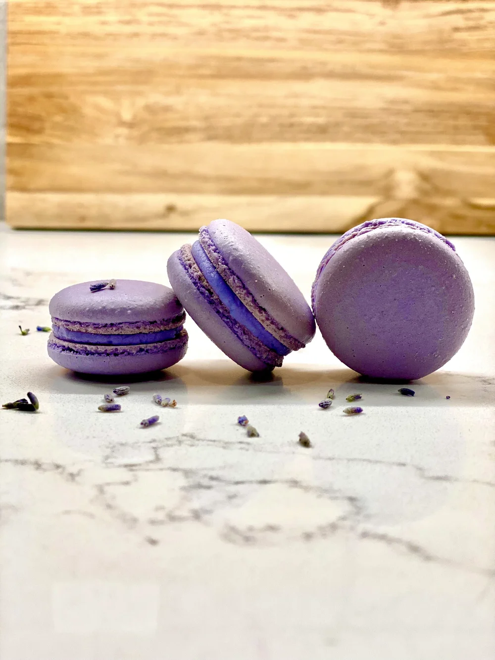 macaron IMG_0875.jpeg?format=1500w